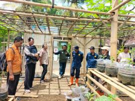 PENDAMPINGAN PEMANFAATAN LAHAN PEKARANGAN